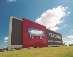 Logomarca de Grupo WhatsApp Tapurah compra e vendas